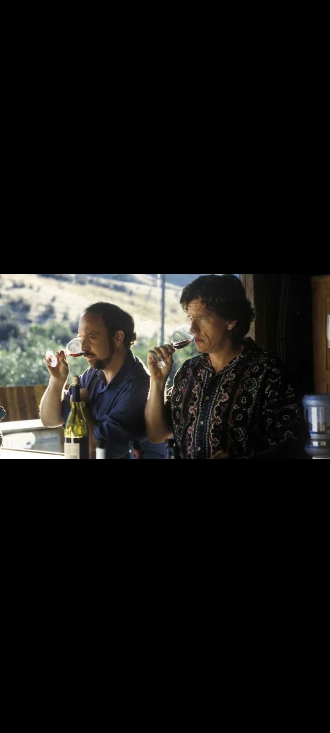 Sideways – DVD Widescreen Edition – Alexander Payne – Import