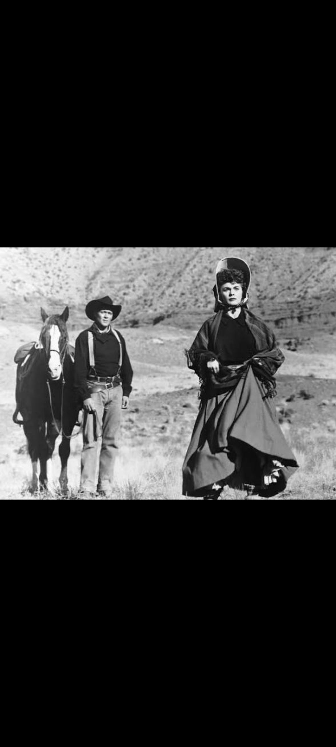 Wagon Master – DVD Warner – John Ford