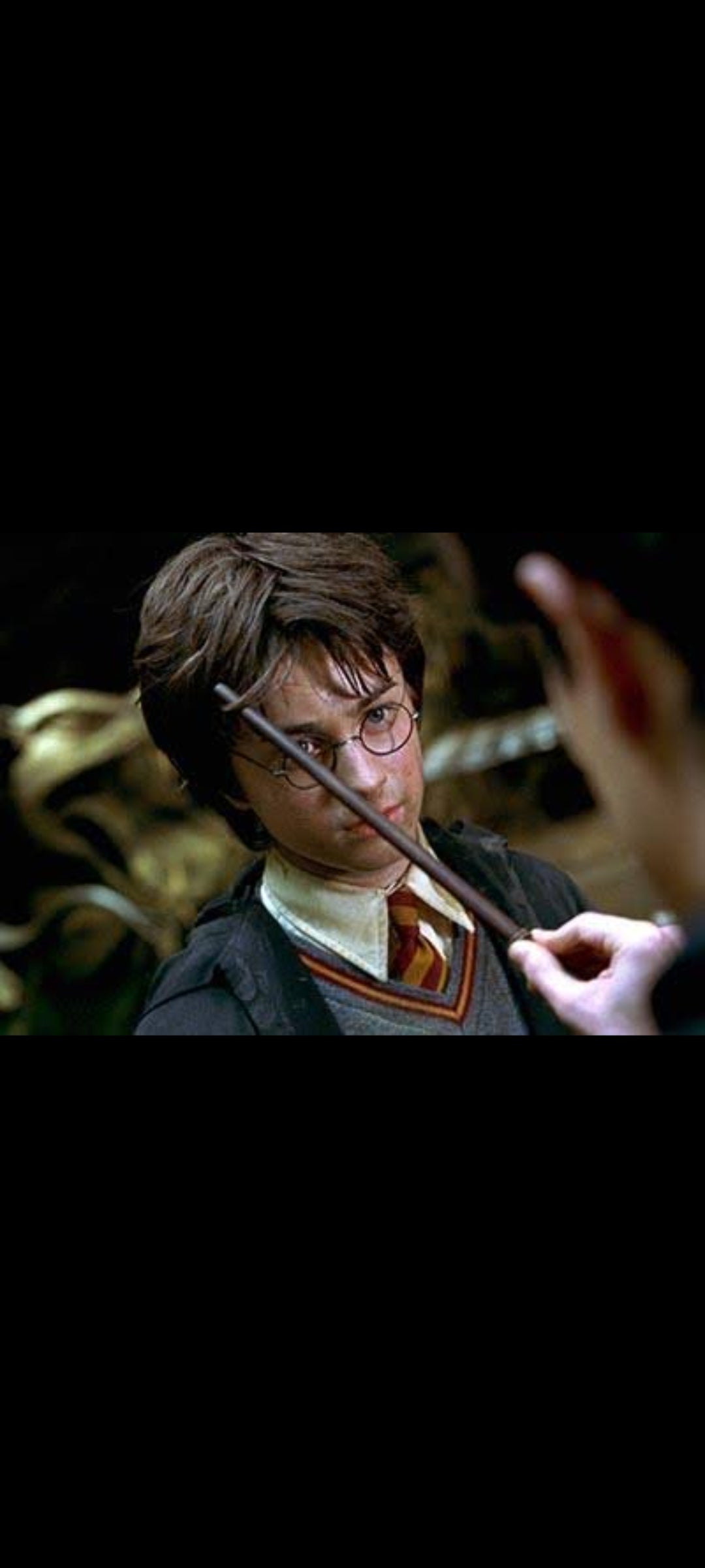 Harry Potter et la Chambre des secrets – DVD Warner Widescreen US
