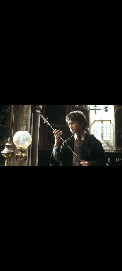 Harry Potter et la Chambre des secrets – DVD Warner Widescreen US