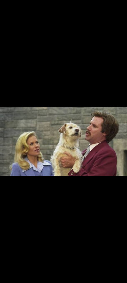 Anchorman: The Legend of Ron Burgundy – DVD neuf – Unrated Widescreen