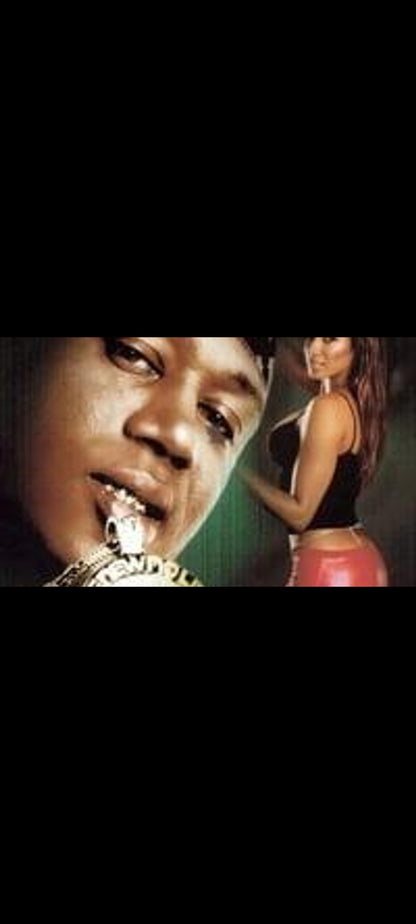 Bad Bizness – Master P et Traci Bingham – DVD neuf Artisan