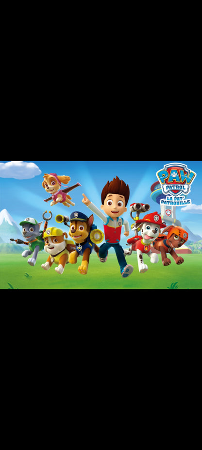 La Pat’ Patrouille – Super Pompier – DVD – 8 épisodes