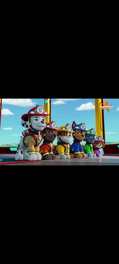 La Pat’ Patrouille – Super Pompier – DVD – 8 épisodes
