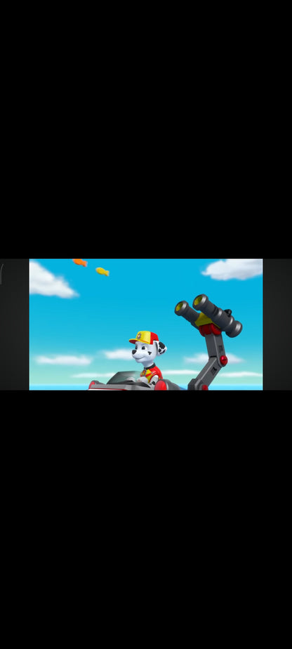 PAW Patrol – All Hands on Deck! – DVD – Good condition