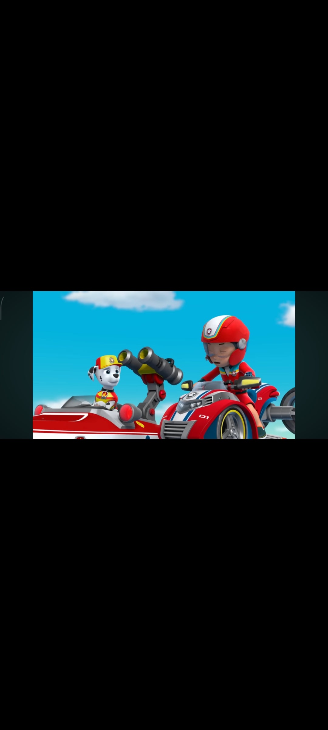 PAW Patrol – All Hands on Deck! – DVD – Good condition