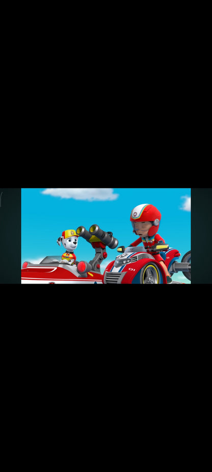 PAW Patrol – All Hands on Deck! – DVD – Good condition