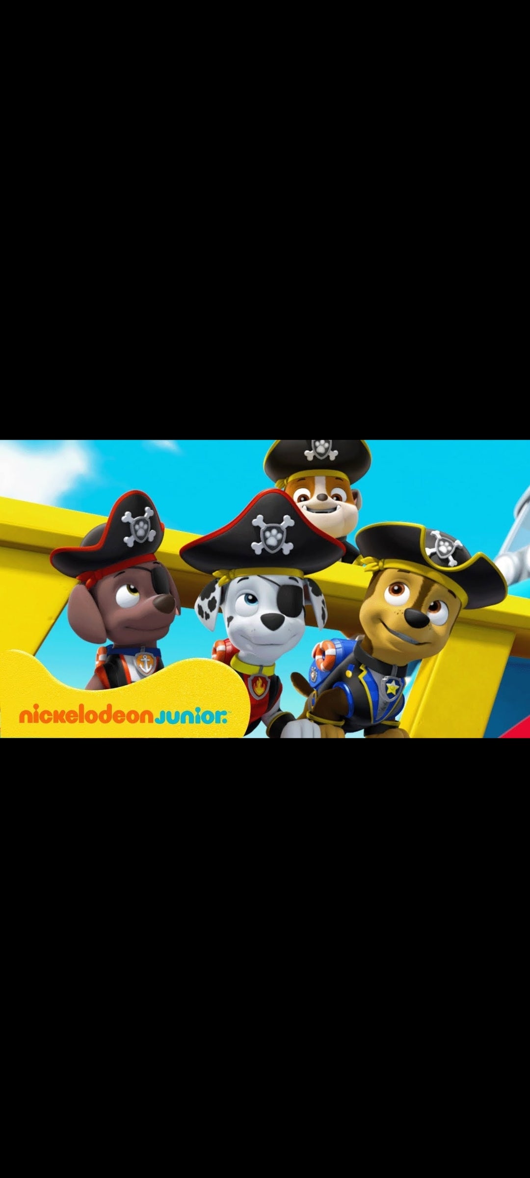 La Patrulla Canina – El tesoro del pirata – DVD – Buen estado