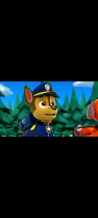 La Patrulla Canina – El tesoro del pirata – DVD – Buen estado