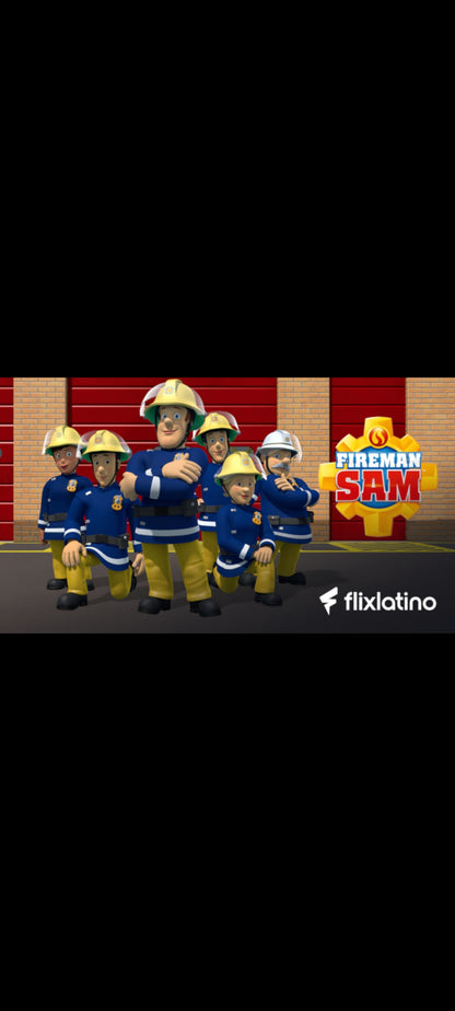 Sam el Bombero – Volumen 3: El Comandante – DVD – Buen estado