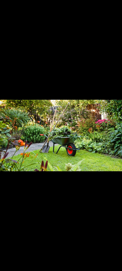 Jardinage Pratique – Hits Collection – CD-ROM PC/Mac – Neuf