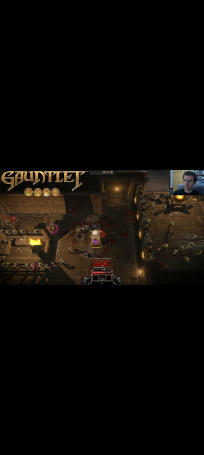 Gauntlet – Jeu PC en boîtier avec coupon Steam – Neuf