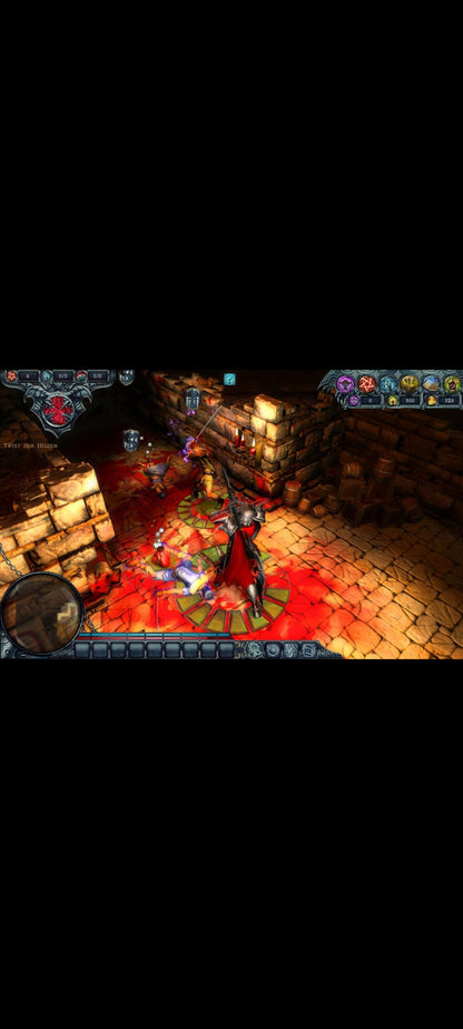 Dungeons – PC DVD – Kalypso – Neuf – PEGI 12