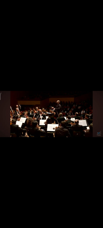 Haydn – Symphonies londoniennes n° 95, 97 et 104 – CD Classica Licorne