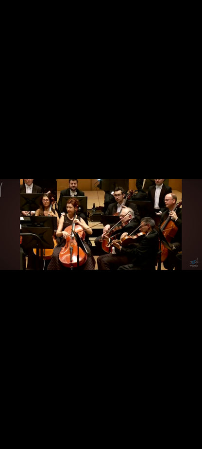 Haydn – Symphonies londoniennes n° 95, 97 et 104 – CD Classica Licorne