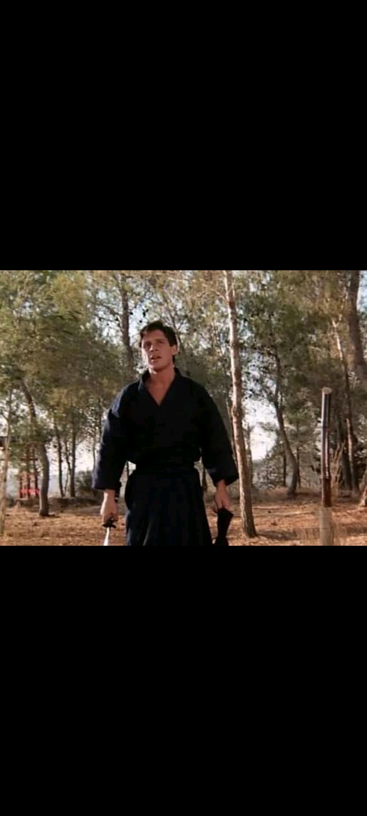 American Samourai - DVD (1993) - David Bradley, Mark Dacascos