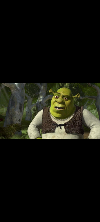 Shrek – DVD DreamWorks Animation | VF/VO 5.1 | Avec la voix d'Alain Chabat