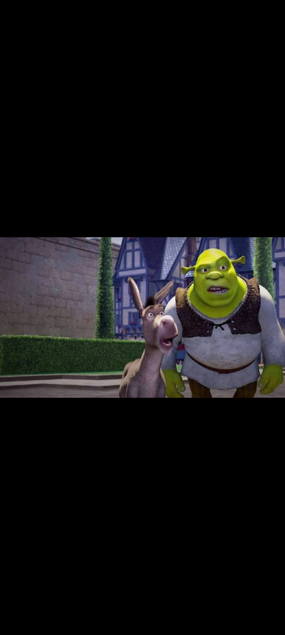 Shrek – DVD DreamWorks Animation | VF/VO 5.1 | Avec la voix d'Alain Chabat