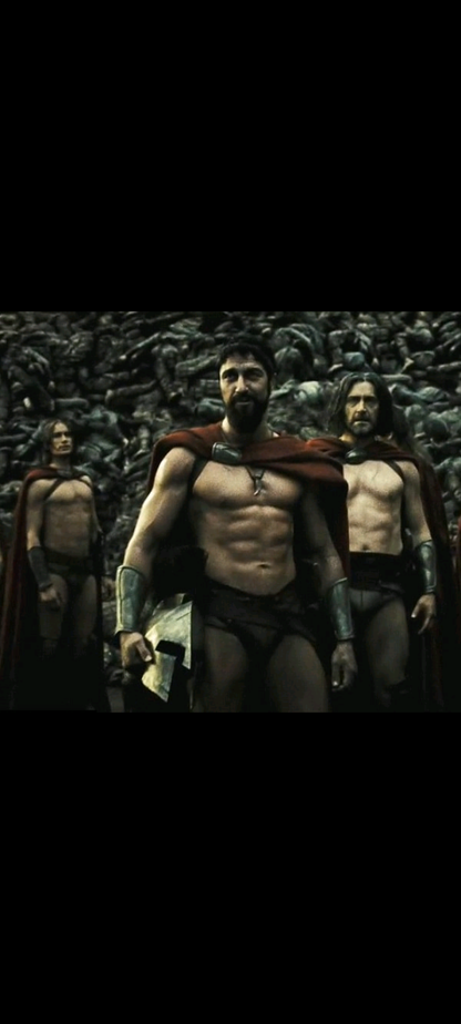 300 – DVD | Zack Snyder | Gerard Butler, Lena Headey | Péplum Action Thermopyles | VF | Occasion Bon État