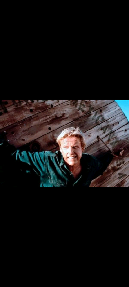 L’Ultime Recours – DVD | Gary Busey | Action • Guerre | Artwork Action & Communication