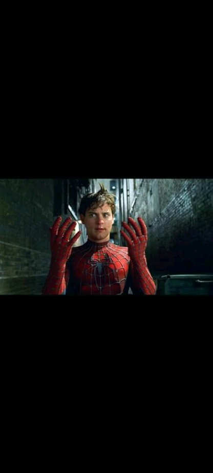 Spider-Man 2 – Widescreen Special Edition – 2 DVD | Tobey Maguire | Columbia Pictures • Marvel