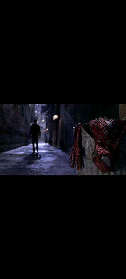 Spider-Man 2 – Widescreen Special Edition – 2 DVD | Tobey Maguire | Columbia Pictures • Marvel