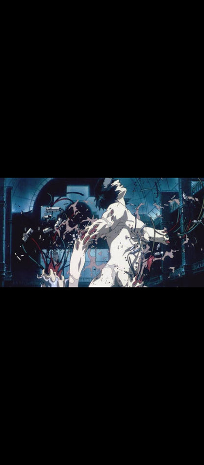 Ghost in the Shell – DVD – Manga Mania
