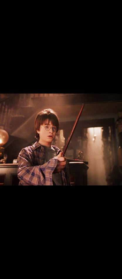Harry Potter à l’école des sorciers – DVD Warner – Jaquette bleue