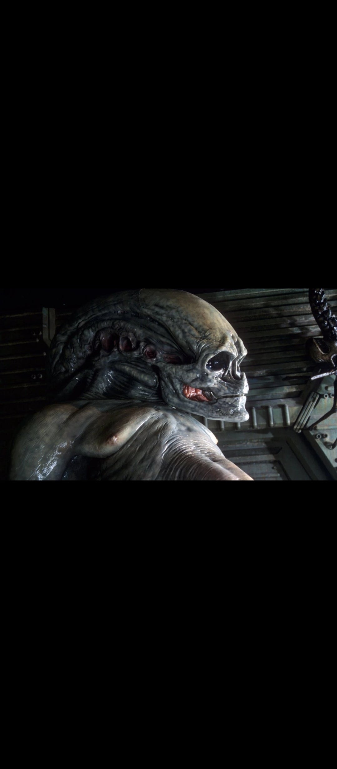 Alien, la résurrection – DVD Fox – Jean-Pierre Jeunet