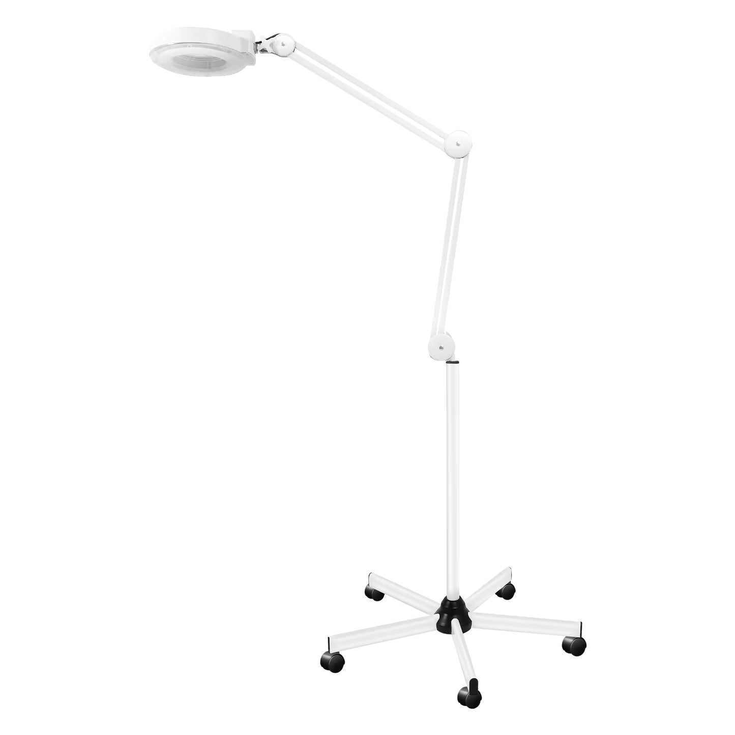 Lampe Loupe sur Pied 5X 24W LED – Lampe Grossissante avec Roulettes pour Esthétique, Onglerie et Tatouage – Éclairage Professionnel