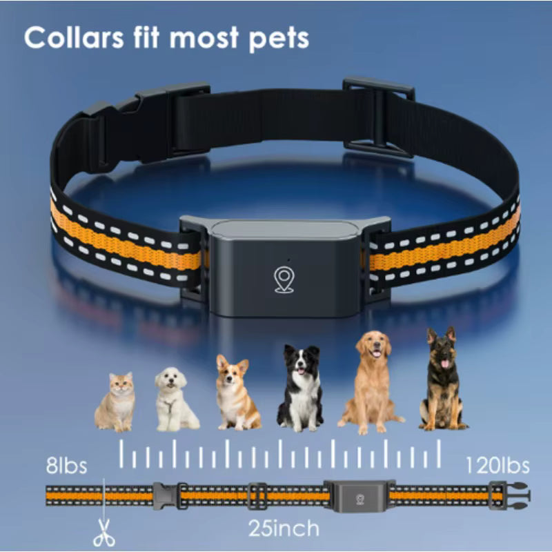 Collier GPS 4G pour Chien et Chat – Traceur d’Animaux Étanche IP67 avec Suivi en Temps Réel