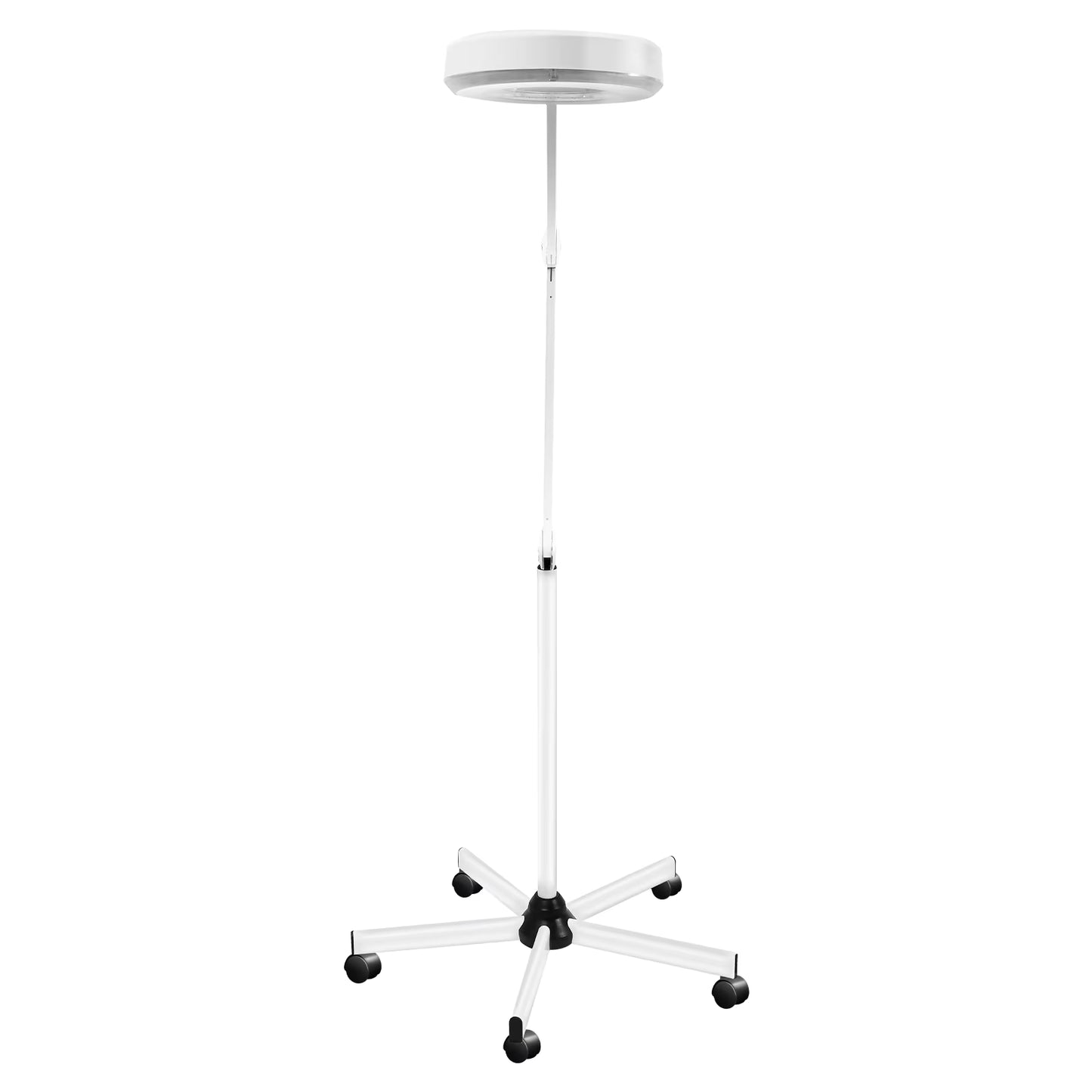 Lampe Loupe sur Pied 5X 24W LED – Lampe Grossissante avec Roulettes pour Esthétique, Onglerie et Tatouage – Éclairage Professionnel