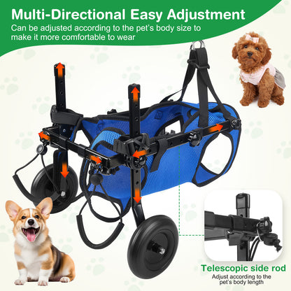 Chariot Rééducation Chien Chat – Aide Mobilité Réglable avec Roues – Support Marche Animal