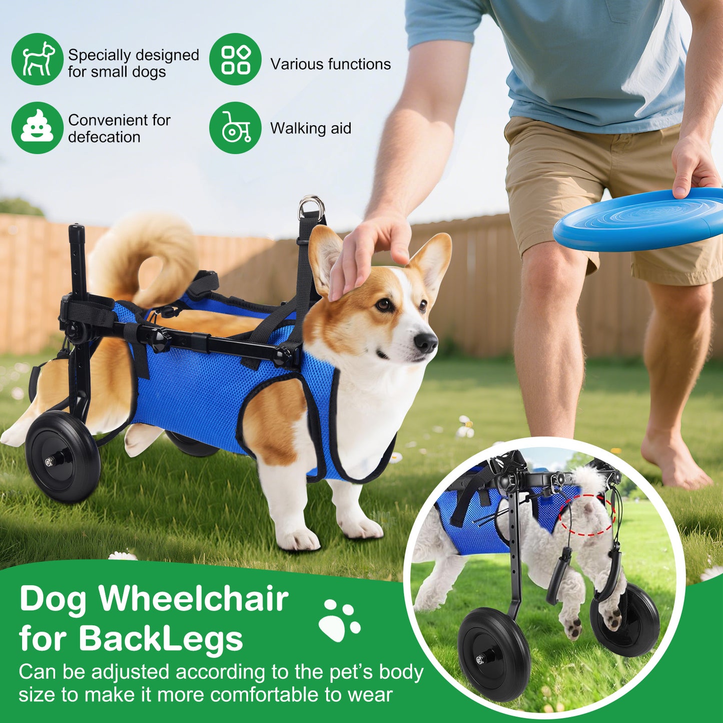 Chariot Rééducation Chien Chat – Aide Mobilité Réglable avec Roues – Support Marche Animal