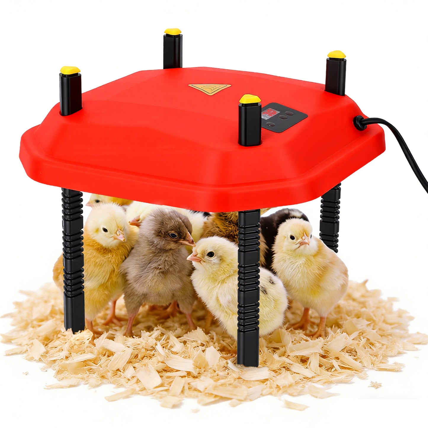 Chauffe-Poussins 30W Réglable – Plaque Chauffante Élevage avec Hauteur et Angle Ajustables