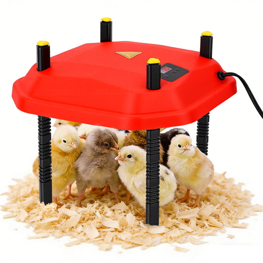 Chauffe-Poussins 30W Réglable – Plaque Chauffante Élevage avec Hauteur et Angle Ajustables