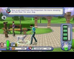 Les Sims 2 : Animaux & Cie – PS2 – Jeu de Simulation – EA Games – Édition Platinum – Version Française