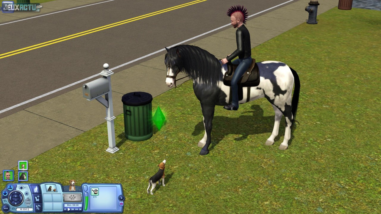 Les Sims 3 Animaux & Cie – Disque Additionnel – PC DVD-ROM – Sans Clé