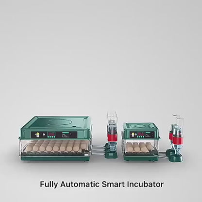 Couveuse à Œufs Automatique 24 Œufs avec Contrôle de Température – Remplissage d’Eau Externe – Incubateur Électrique pour Œufs de Poule et Volaille