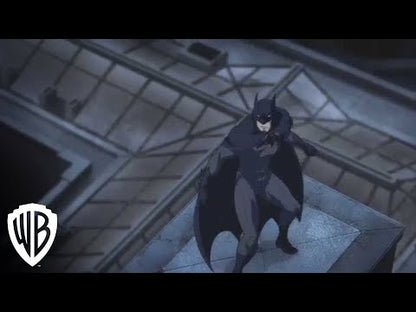 Batman vs Robin — bande-annonce officielle en anglais du long-métrage animé de 2015, Warner Bros. Entertainment.