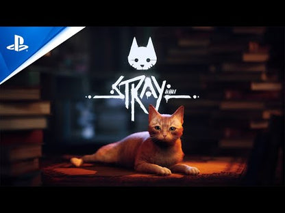 Stray – Jeu PS4 – Aventure Cyberpunk – Upgrade PS5 Inclus – Version Française – Présentation vidéo