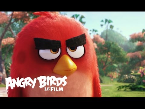 Angry Birds : Le Film — teaser officiel VF du film de 2016, SonyPicturesFr.