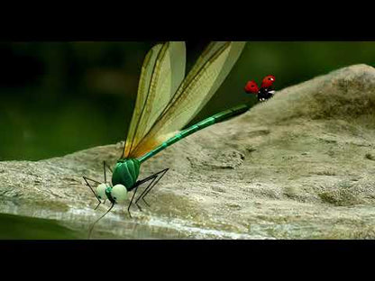 Minuscule DVD 2 — épisode « Libellules / Dragonflies », présent sur le DVD ; version remastérisée par Minuscule Fan, sans dialogue.