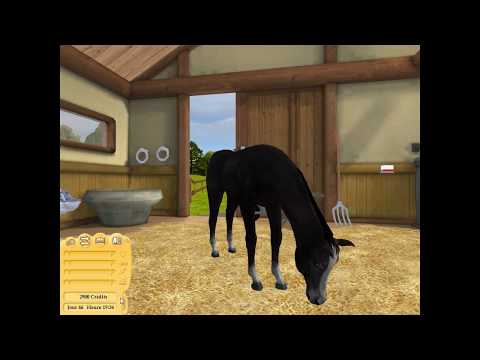 Mon Cheval Virtuel – PC – CD seul sans boîtier – Simulation équestre — présentation PC