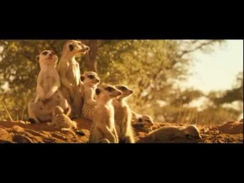 La Famille Suricate / The Meerkats (2008) — bande-annonce VF publiée par wildsidecats. James Honeyborne ; promotion DVD et Blu-ray du documentaire. La piste audio proposée peut dépendre des réglages YouTube.