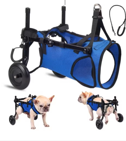 Chariot Rééducation Chien Chat – Aide Mobilité Réglable avec Roues – Support Marche Animal