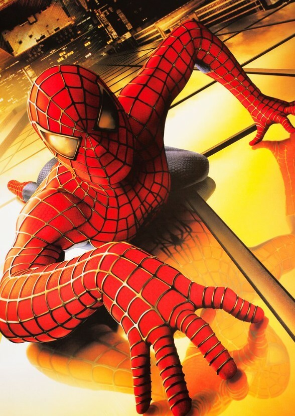Dvd Spider-man Film